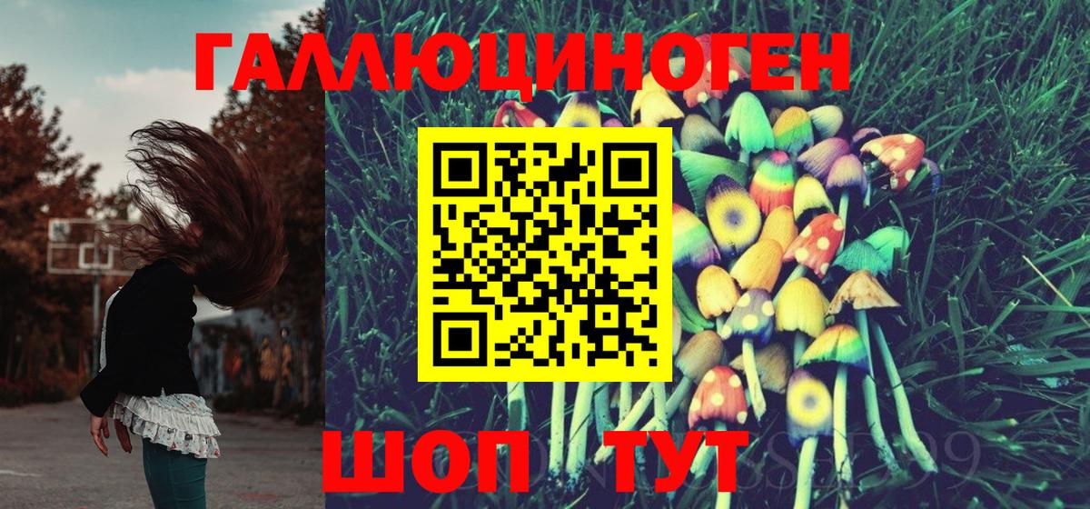 Псилоцибиновые грибы GOLDEN TEACHER  Вход с VPN  Псилоцибиновые грибы MAGIC MUSHROOMS  Лесной 