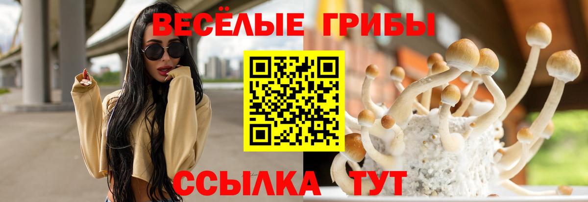 Галлюциногенные грибы GOLDEN TEACHER Лесной
